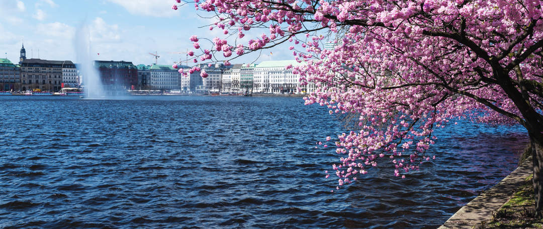 🌸 Hamburgs Frühling: Schmuckstücke für besondere Anlässe