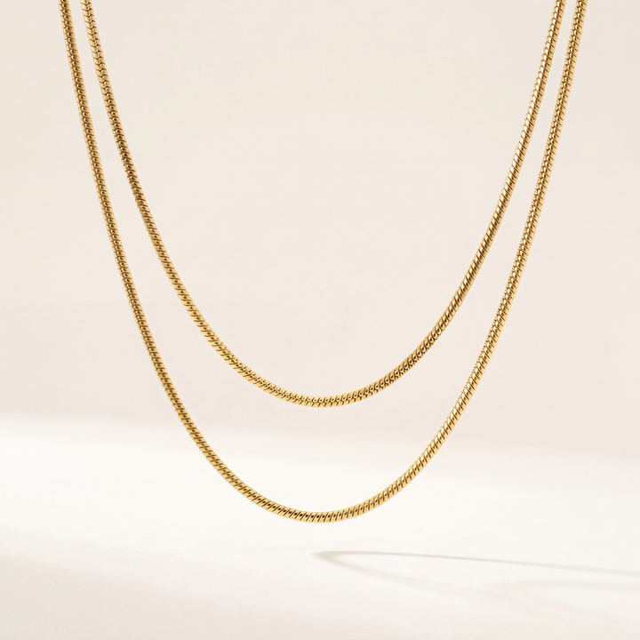 Layered Necklace •  Twin